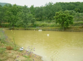  Paraje de Ojaranzo 